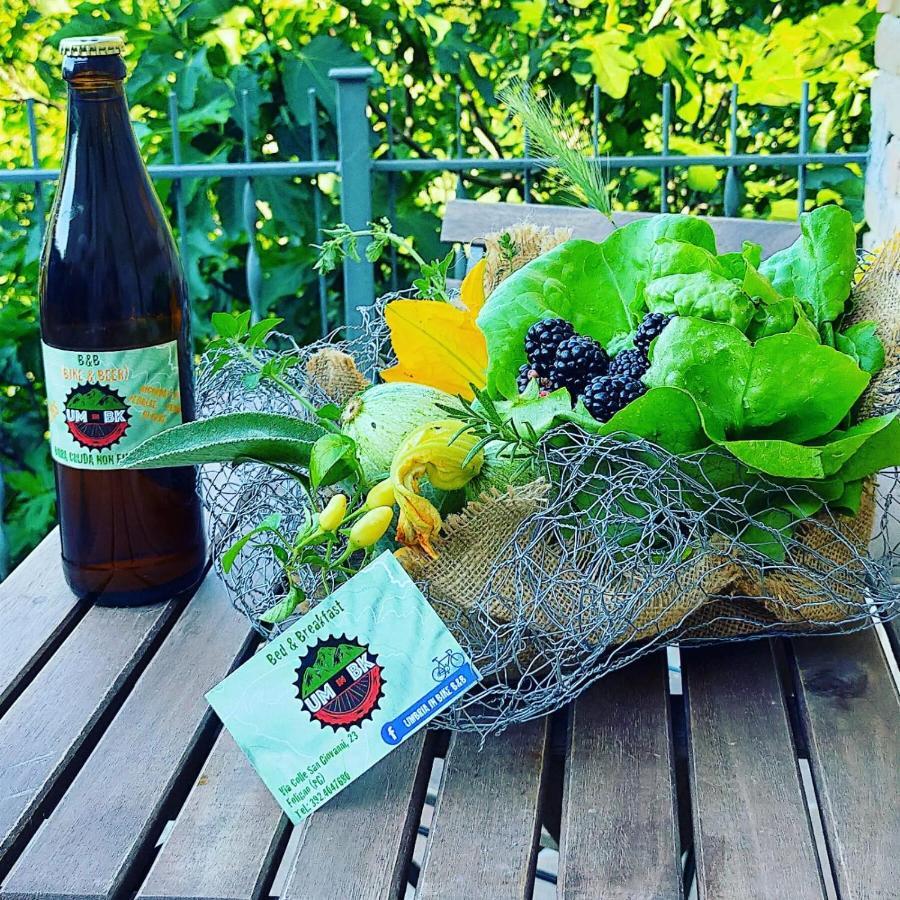 Umbria In Bike B&B โฟลีโญ ภายนอก รูปภาพ