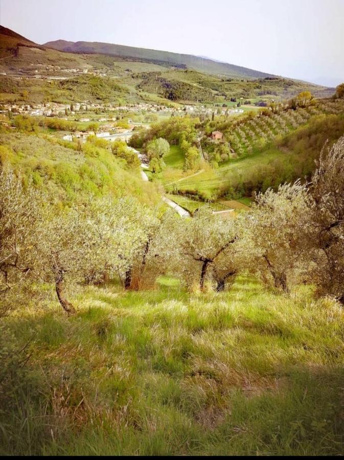 Umbria In Bike B&B โฟลีโญ ภายนอก รูปภาพ